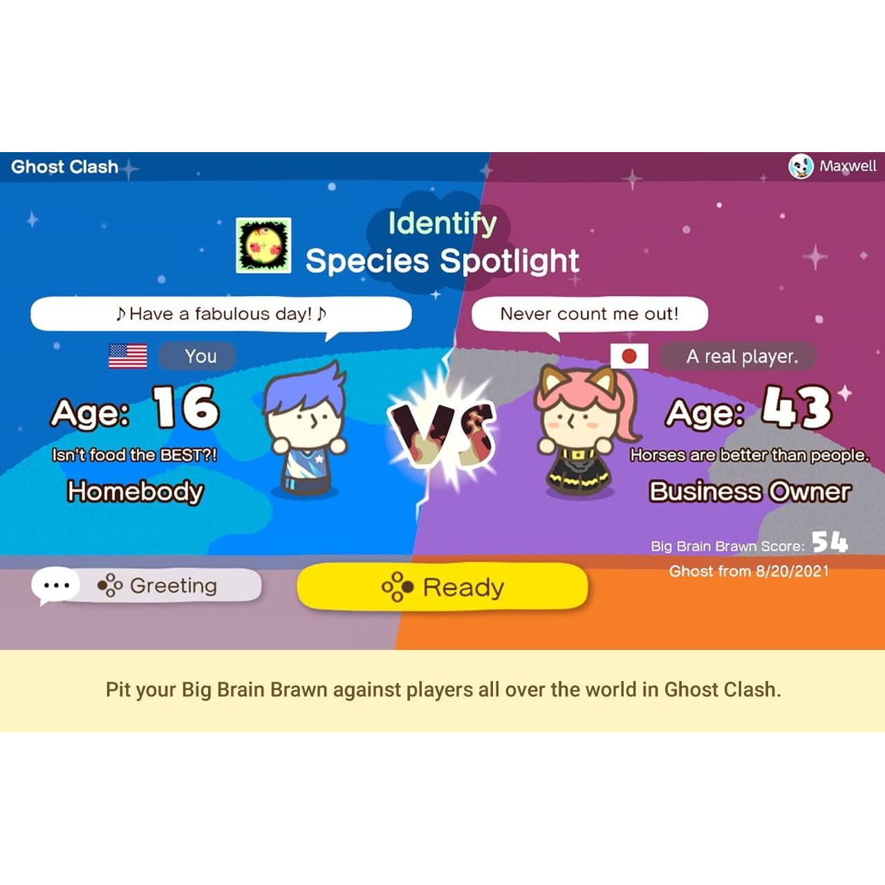 Buy Nintendo Game,Big Brain Academy: Brain vs Brain - Nintendo Switch Game - Gadcet UK | UK | London | Scotland | Wales| Near Me | Cheap | Pay In 3 | Video Game Software