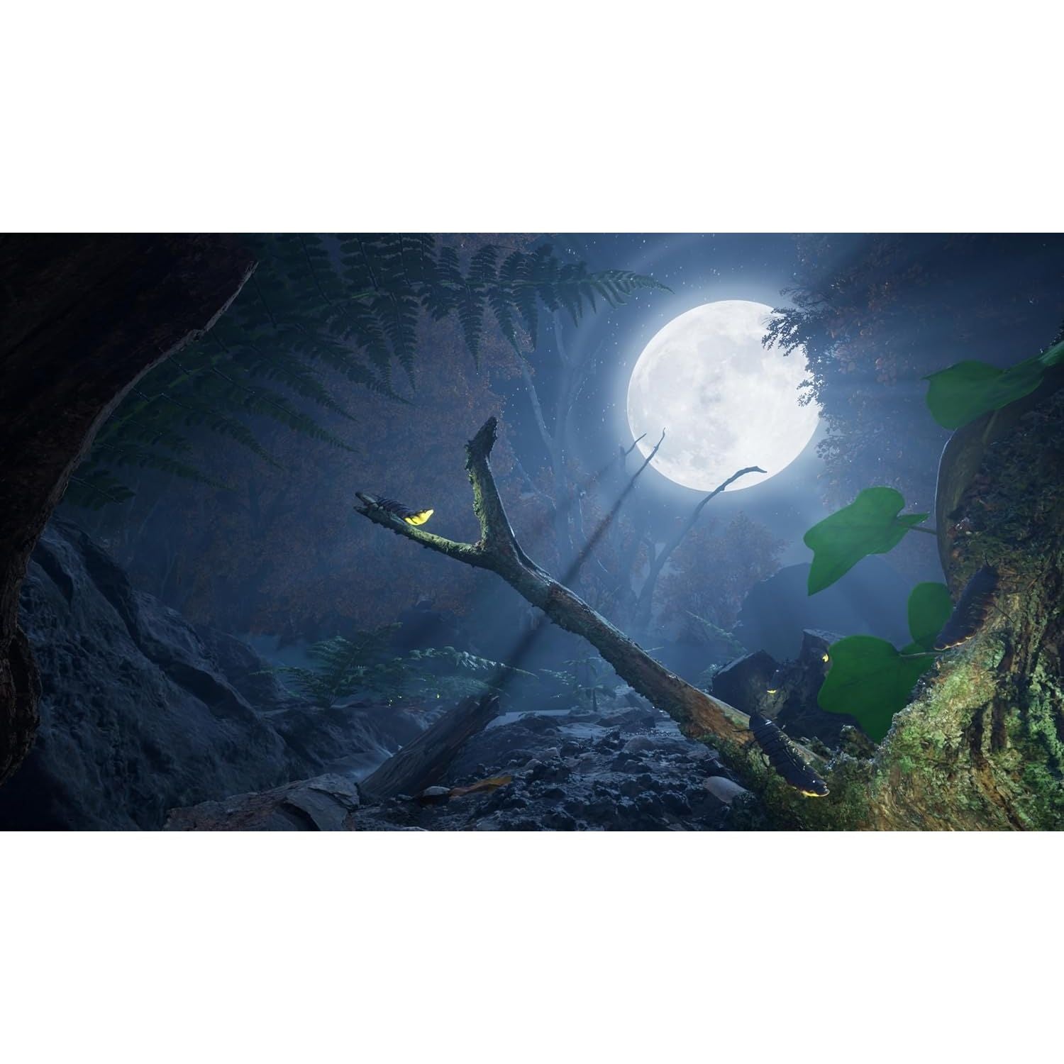 Buy XBOX,Empire of the Ants Limited Edition Xbox Series X - Gadcet UK | UK | London | Scotland | Wales| Near Me | Cheap | Pay In 3 | Physical Video Games