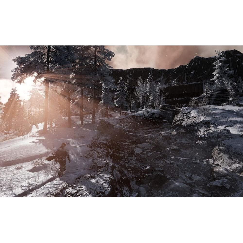 Fade To Silence (PS4) - 2