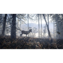 The Hunter: Call Of The Wild - 2019 Edition for Xbox One - 3