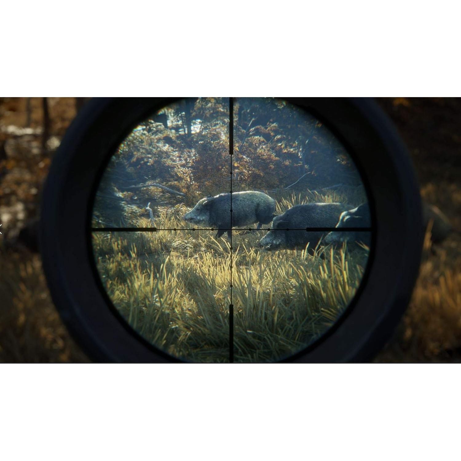 The Hunter: Call Of The Wild - 2019 Edition for Xbox One - 5