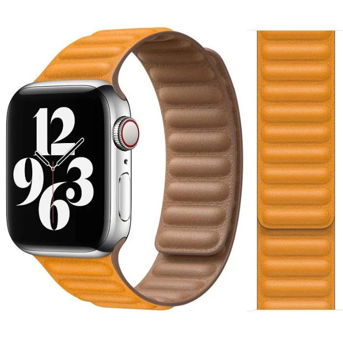 Apple Watch Strap Leather Link (44mm) - California Poppy - 1