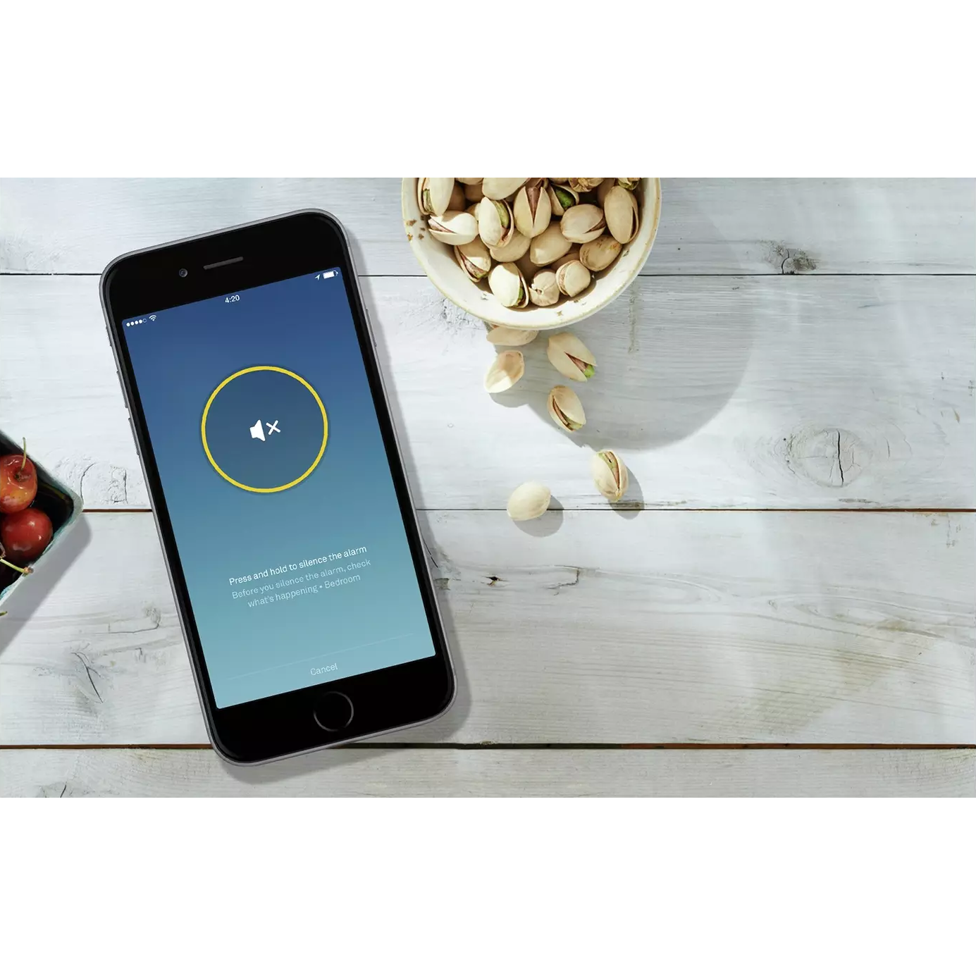 Google Nest Protect 2nd Generation Wired Smoke/CO Detector - 3