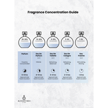 MPF Highway EDP 100ML (UNISEX) - 5