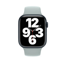 Apple watch 45mm succulent solo loop size 12 - 1