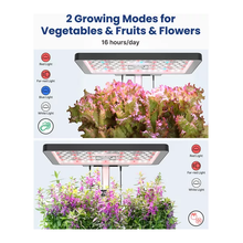 IDOO Home Hydroponics Herb Garden Growing Kit - Black - 2