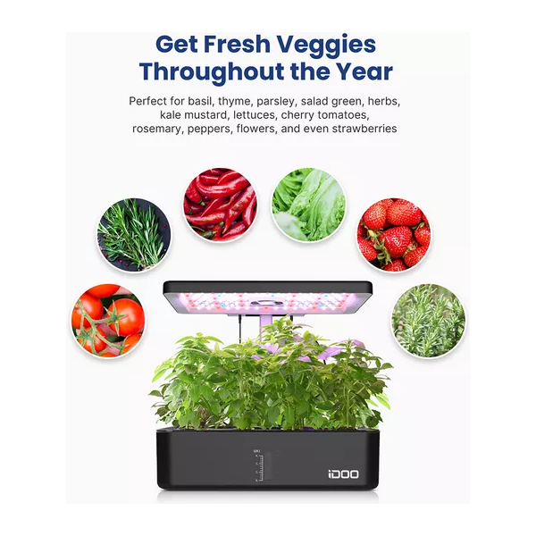 IDOO Home Hydroponics Herb Garden Growing Kit - Black - 4