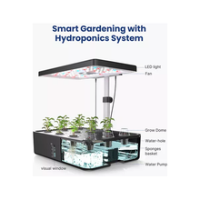 IDOO Home Hydroponics Herb Garden Growing Kit - Black - 5