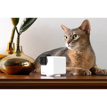 Buy Gadcet Dagenham,PETCUBE Cam 360 Smart Pet Monitoring Camera - Gadcet UK | UK | London | Scotland | Wales| Near Me | Cheap | Pay In 3 | Web Camera