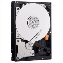 Buy Gadcet Dagenham,Western Digital Caviar Blue 500GB – 3.5" SATA HDD (WD5000AAKX) - Gadcet UK | UK | London | Scotland | Wales| Near Me | Cheap | Pay In 3 | Hard Drives