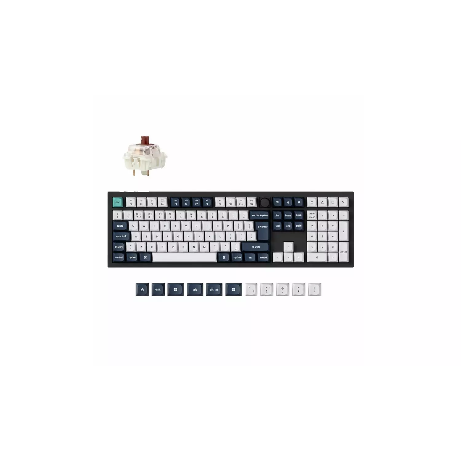 6526b682e719a624d41b5e41_7786042-r-z001a_1785529756118.png
