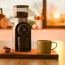 Buy Cashify Tech Ltd,ProCook Burr Coffee Grinder - Black - Gadcet UK | UK | London | Scotland | Wales| Near Me | Cheap | Pay In 3 | Coffee Grinder