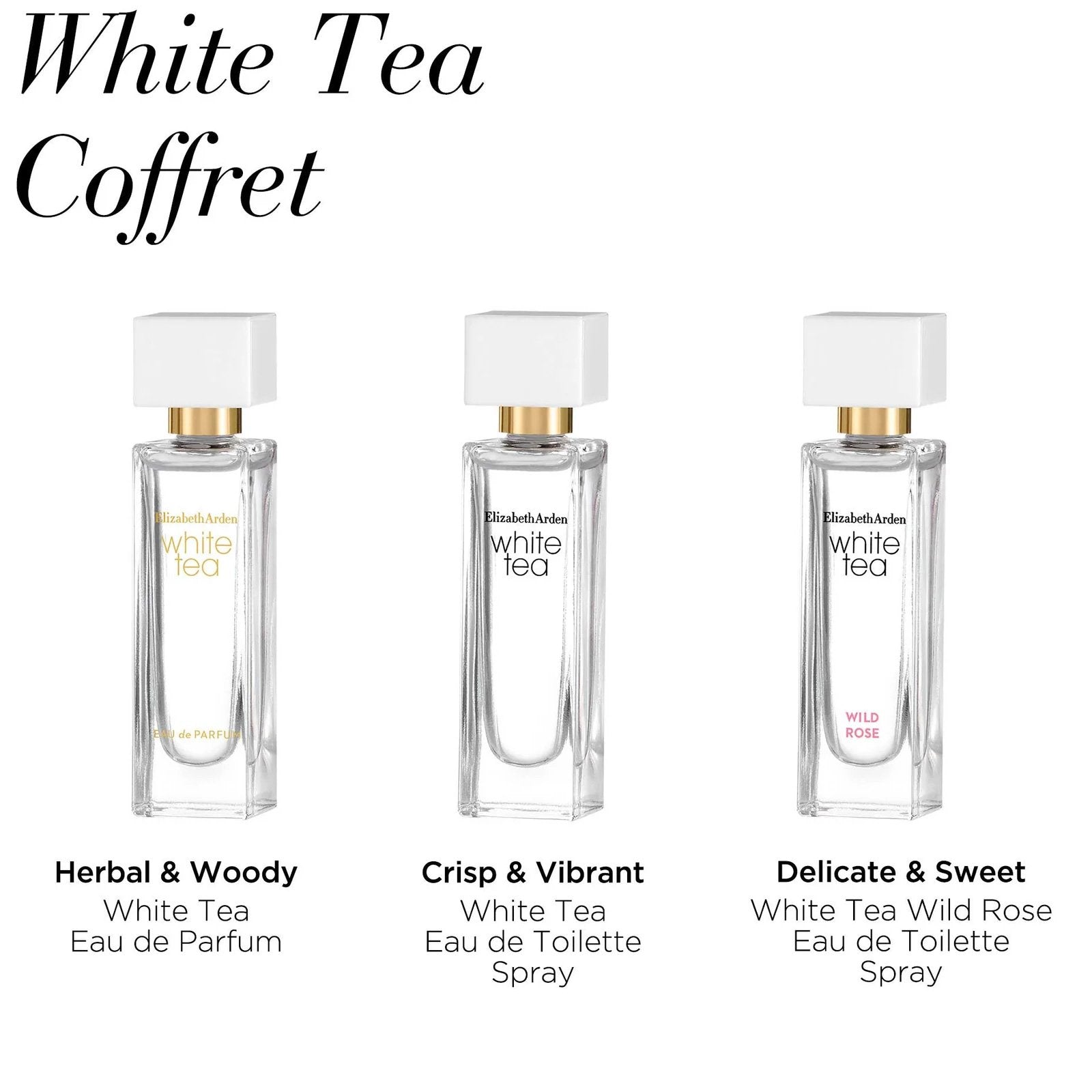 6526b682e719a624d41b5e41_arden-white-tea-collection1_1778455764322.jpg