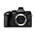 6526b682e719a624d41b5e41_best-lenses-for-the-olympus-om-d-e-m1-short-telephoto-and-standard-focal-lengths_1753963273384.jpg