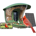 6526b682e719a624d41b5e41_birdfy-1_1757679939636.png