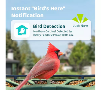6526b682e719a624d41b5e41_birdfy-2_1757679944722.png