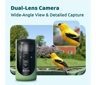 6526b682e719a624d41b5e41_birdfy-6_1757679963551.png