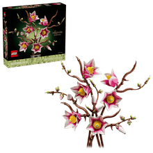 6526b682e719a624d41b5e41_magnolia-2_1774622393814.png
