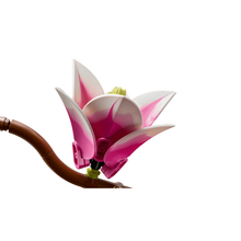 6526b682e719a624d41b5e41_magnolia-5_1774622403113.png
