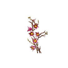 6526b682e719a624d41b5e41_magnolia-6_1774622405160.png