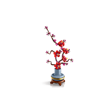 6526b682e719a624d41b5e41_plum-blossom-5_1774624276728.png