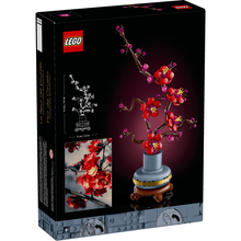 6526b682e719a624d41b5e41_plum-blossom-6_1774624278435.png