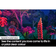 Buy Alann Trading Limited,SAMSUNG DU8000 55" Crystal UHD 4K HDR Smart TV 2024 - UE55DU8000 - Gadcet UK | UK | London | Scotland | Wales| Near Me | Cheap | Pay In 3 | UHD 4K HDR Smart TV