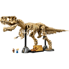6526b682e719a624d41b5e41_tyrannosaurus-1_1772195180546.png