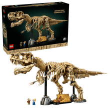 6526b682e719a624d41b5e41_tyrannosaurus-2_1772195109236.png