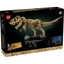 6526b682e719a624d41b5e41_tyrannosaurus-9_1772195100188.png