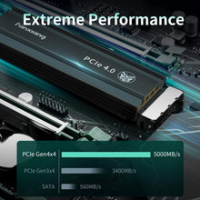 Fanxiang 1TB M.2 NVMe Solid State Drive – Internal SSD for Laptop, Desktop PC & Gaming Storage