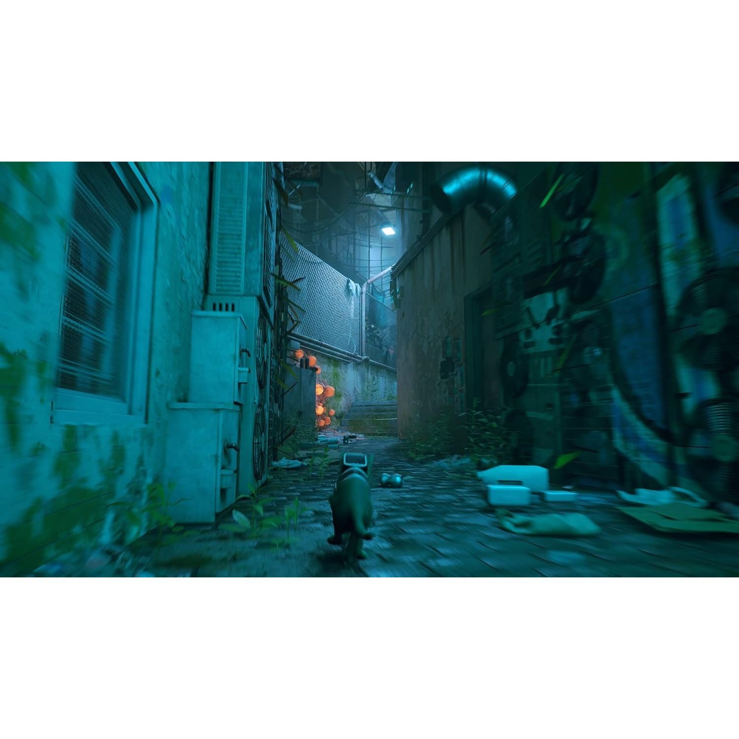 Buy Playstation,Stray (PlayStation 4) - Gadcet UK | UK | London | Scotland | Wales| Near Me | Cheap | Pay In 3 | Video Game