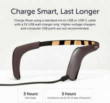 Muse 2 EEG Brain Sensing Headband – Meditation & Biofeedback Tracker