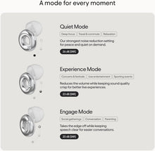 Loop Switch 2 Adjustable Earplugs – 3 Noise Reduction Modes, 20–26dB SNR – Silver