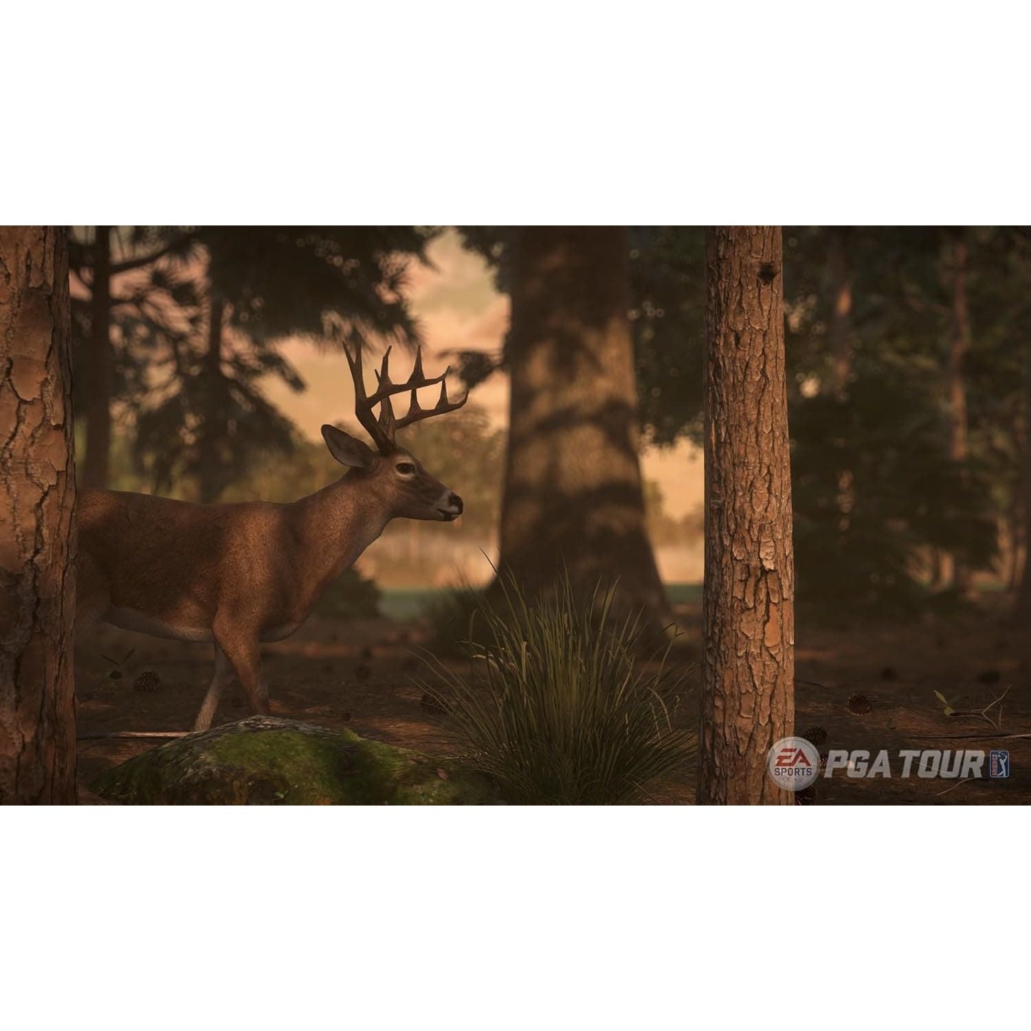 Buy Microsoft,Rory McIlroy PGA Tour - Xbox One - Gadcet UK | UK | London | Scotland | Wales| Ireland | Near Me | Cheap | Pay In 3 | Video Game Software