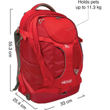 Buy Kurgo,Kurgo G-Train Pack, Carrier Backpack for Small Dogs and Cats, Ideal for Hiking or Travel, Waterproof Bottom, Black - Gadcet UK | UK | London | Scotland | Wales| Ireland | Near Me | Cheap | Pay In 3 | Apparel & Accessories