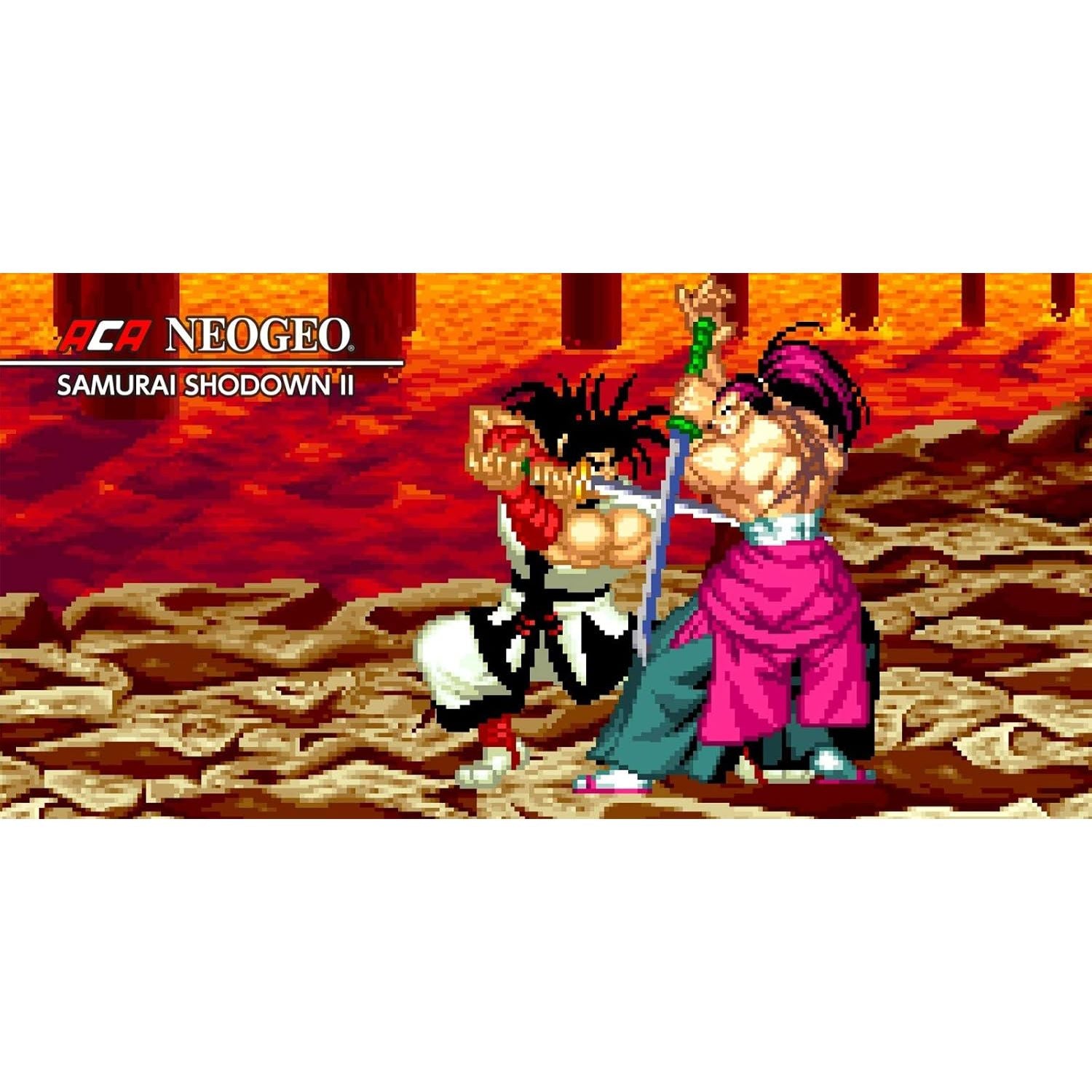 Samurai Shodown: Neogeo Collection - Nintendo Switch | Gadcet UK