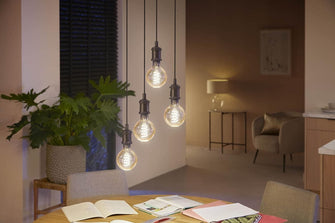 Buy Philips Hue,Philips Hue White Ambiance Filament Single Smart LED Globe [E27 Edison Screw] - 550 Lumens. Works with Alexa, Google Assistant and Apple Homekit - Gadcet UK | UK | London | Scotland | Wales| Near Me | Cheap | Pay In 3 | LED Light Bulbs