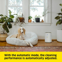Buy Karcher,Kärcher AF 20 Air Purifier – 220 m³/h Airflow, 20 m² Coverage, 99.95% Particle Removal, Auto Mode & Night Mode - Gadcet UK | UK | London | Scotland | Wales| Near Me | Cheap | Pay In 3 | Air Purifiers