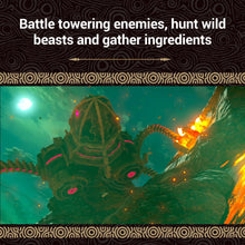 Buy Nintendo Game,The Legend of Zelda: Breath of the Wild - Nintendo Switch Game - Gadcet UK | UK | London | Scotland | Wales| Near Me | Cheap | Pay In 3 | Video Game Software