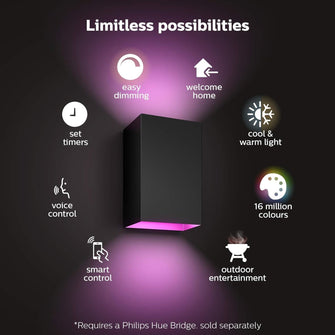 Buy Philips Hue,Philips Hue Resonate White and Colour Ambiance LED Smart Outdoor Wall Light, Black, Compatible with Alexa, Google Assistant and Apple HomeKit - Gadcet UK | UK | London | Scotland | Wales| Ireland | Near Me | Cheap | Pay In 3 | Home & Garden