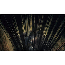 Buy PlayStation,Dark Souls Trilogy Collector (PS4) - Gadcet UK | UK | London | Scotland | Wales| Near Me | Cheap | Pay In 3 | Video Game Consoles
