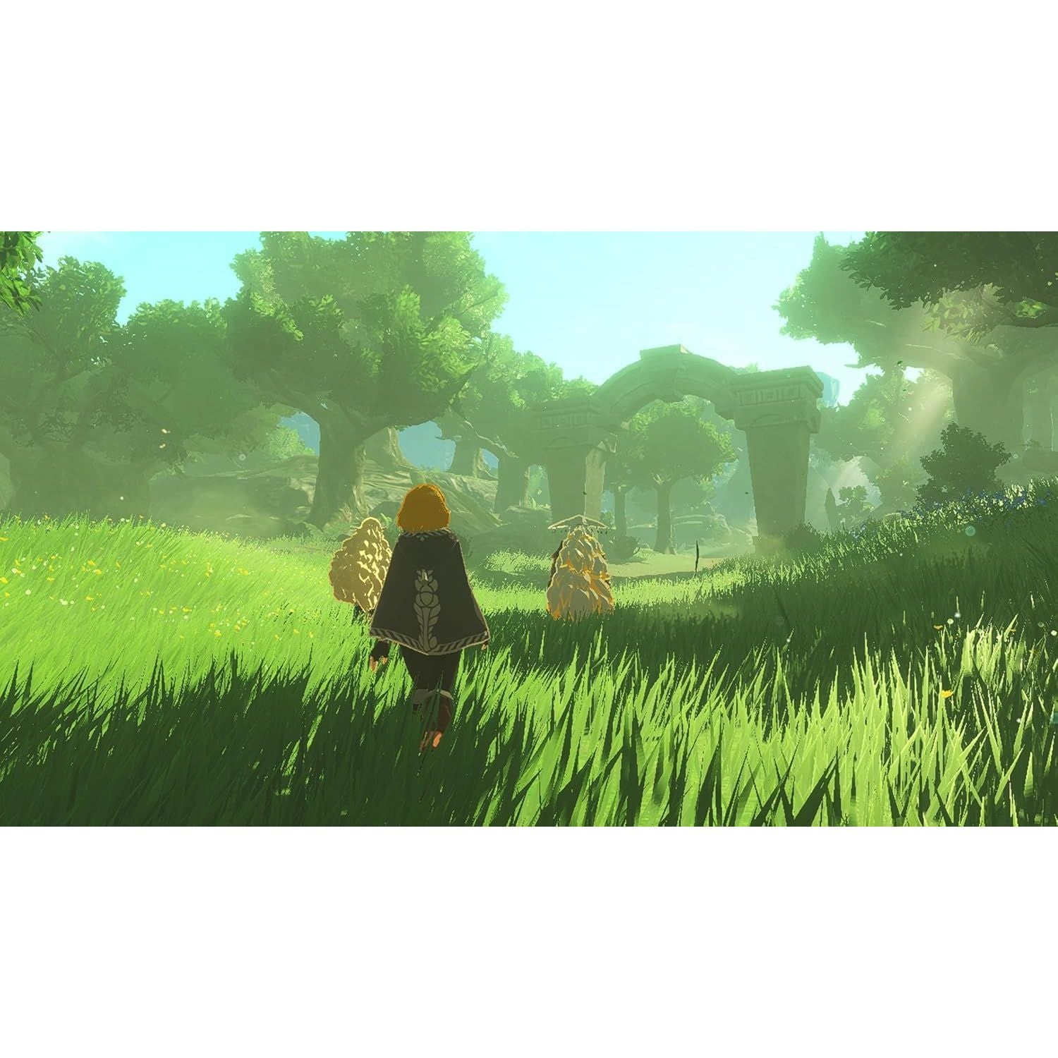 Buy Nintendo,Hyrule Warriors: Age of Imprisonment Nintendo Game - Gadcet UK | UK | London | Scotland | Wales| Near Me | Cheap | Pay In 3 | Video Game Software