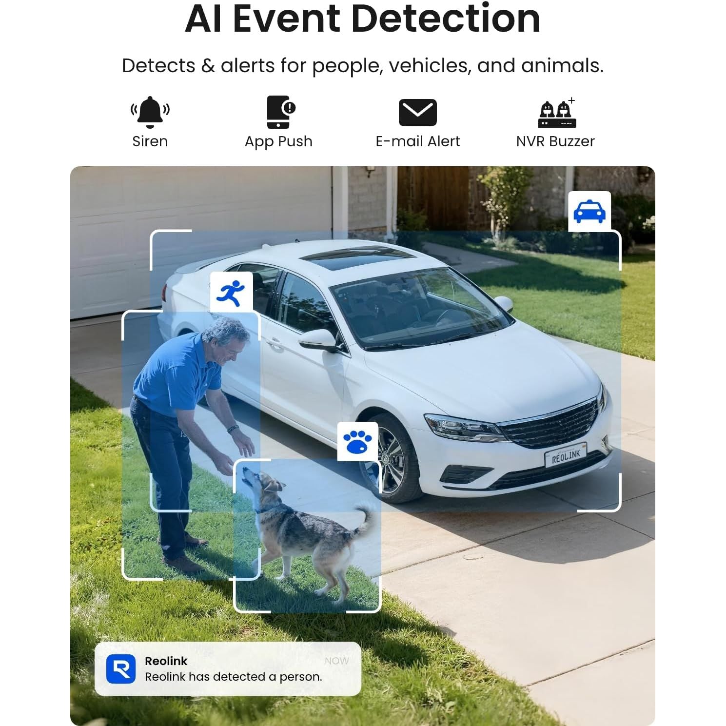 Buy Reolink,Reolink RLK8-1200D4-A 12MP Dome CCTV Camera System - Gadcet UK | UK | London | Scotland | Wales| Near Me | Cheap | Pay In 3 | Surveillance Cameras
