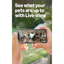 Ring Pan-Tilt Indoor Camera Plug-In Pet Security Camera – 360° Pan, 169° Tilt, HD Video, Two-Way Talk