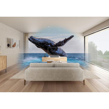Sony HT-S2000 Small & Compact 3.1ch Dolby Atmos Soundbar for TV with Bluetooth - 12