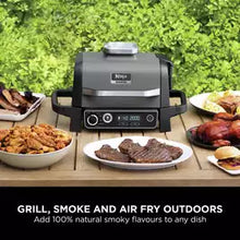 Ninja Woodfire Electric BBQ Grill & Smoker with Cover - Grey