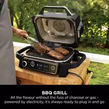 Ninja Woodfire Electric BBQ Grill & Smoker with Cover - Grey