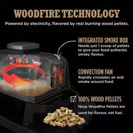 Ninja Woodfire Electric BBQ Grill & Smoker with Cover - Grey