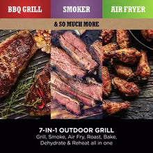 Ninja Woodfire Electric BBQ Grill & Smoker with Cover - Grey